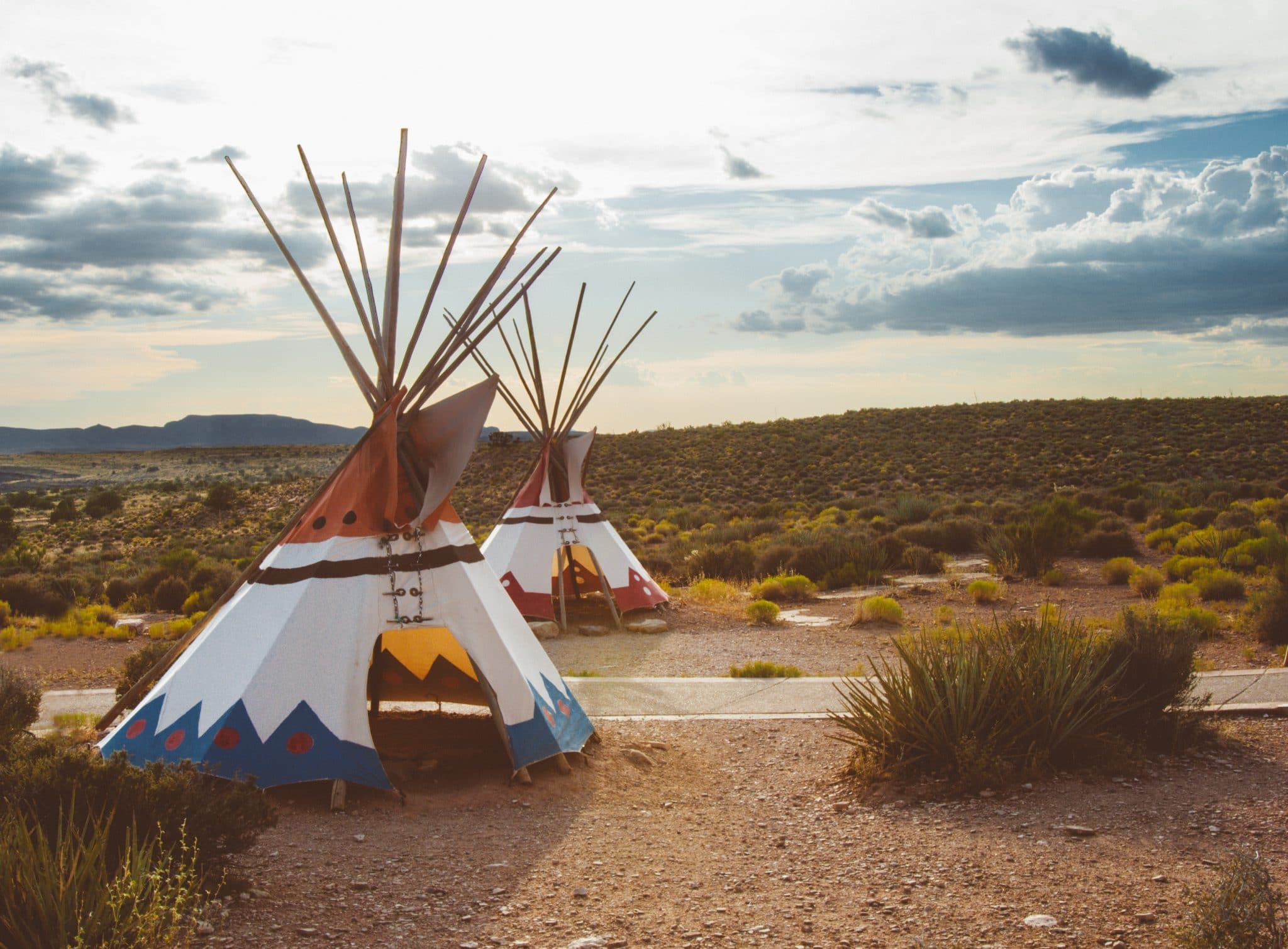 dedicated-to-diversity-majoring-in-native-american-studies-peterson-s