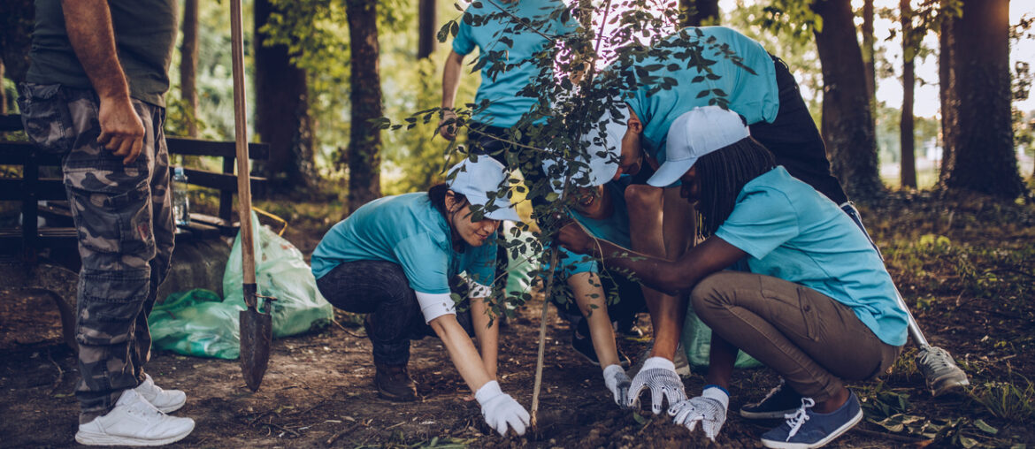 volunteers planting trees on spring break