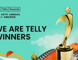 Bronze Telly Award 2025 for our Firefighter Practice Exam Videos